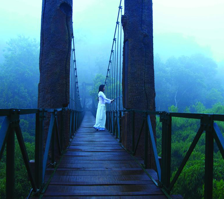 Aydin-Tours-and-Travels-vythiri-village-hotel-booking